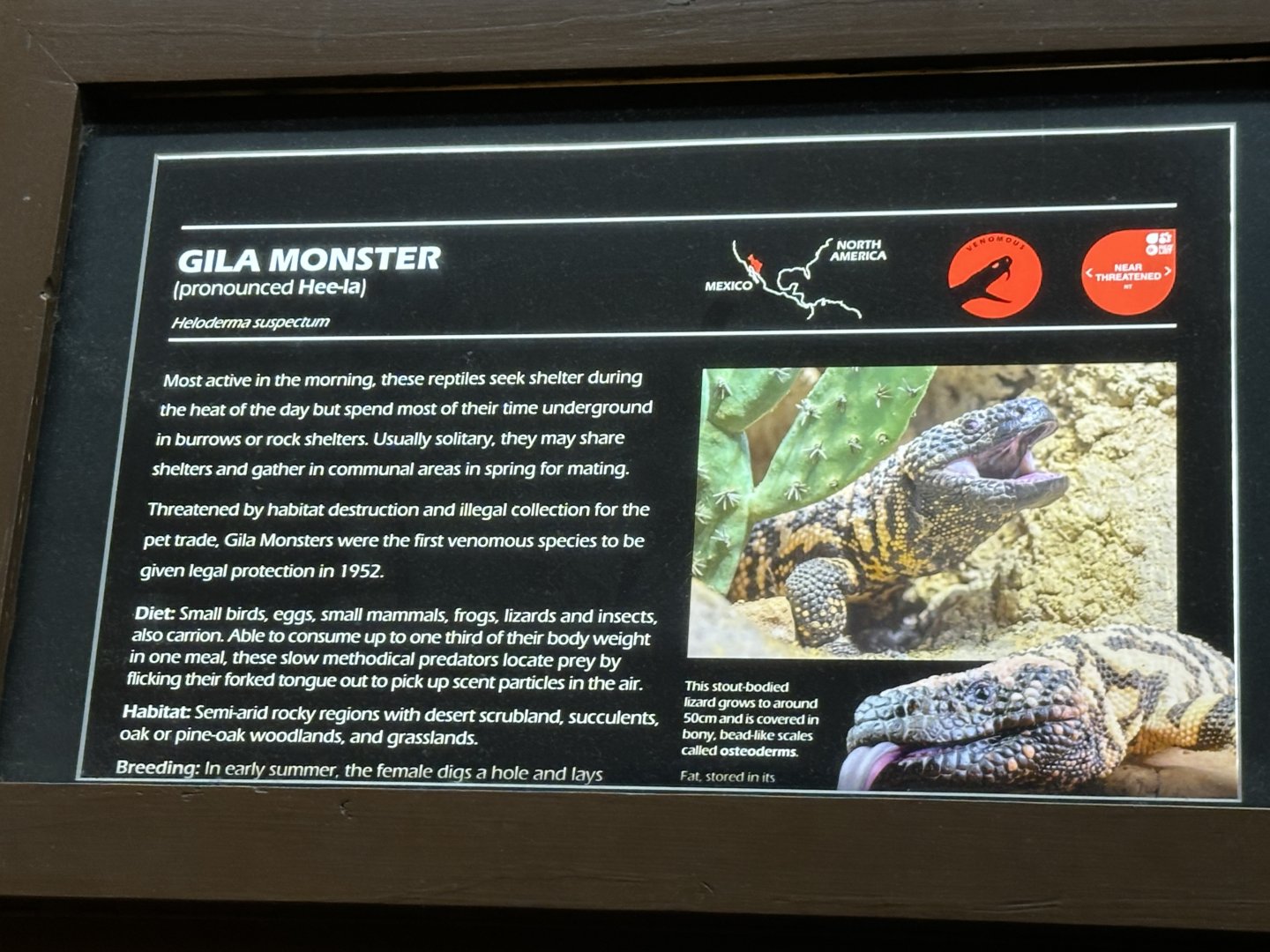 Gila monster signage