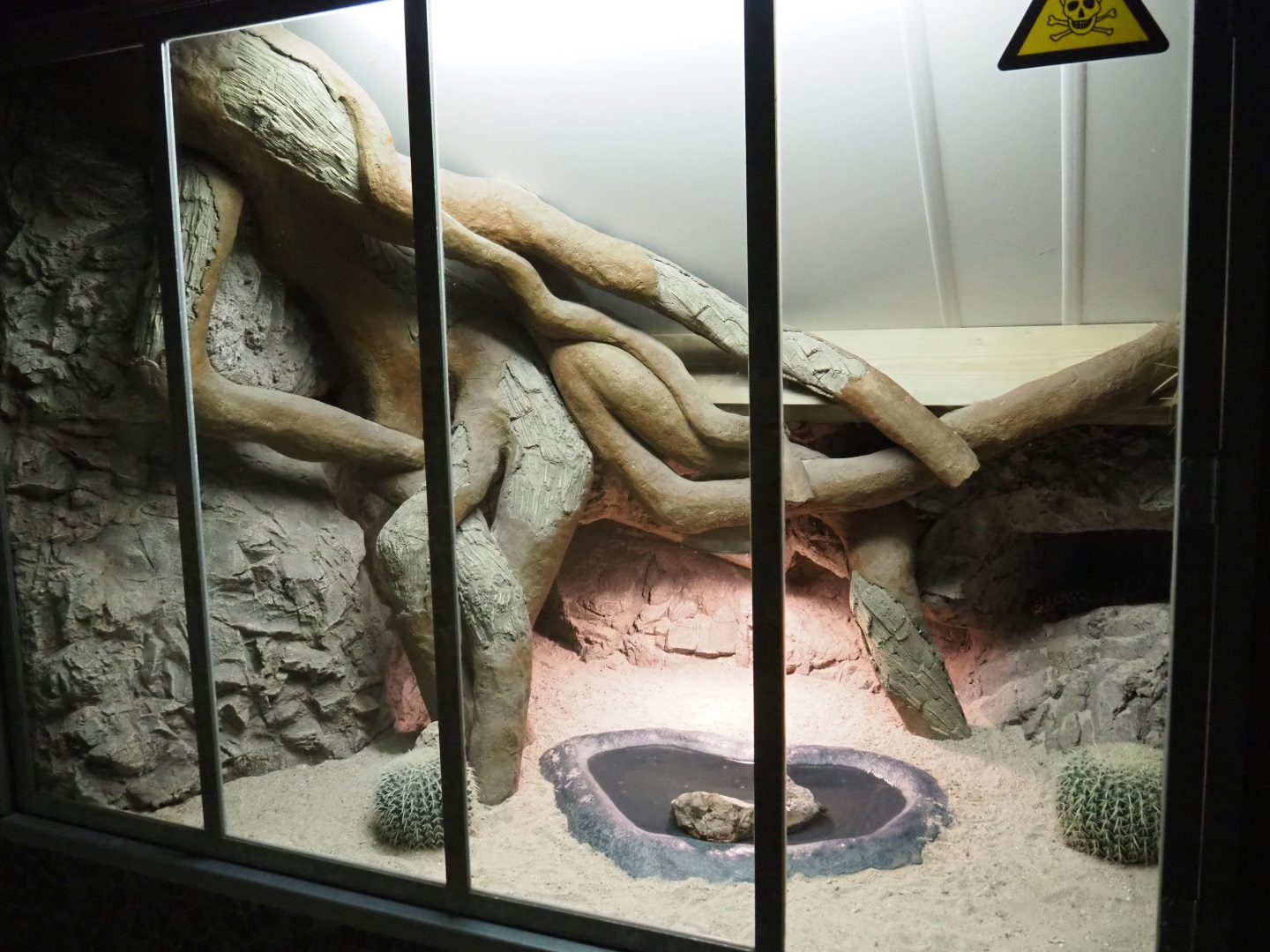 Gila monster terrarium, 2019-04-06
