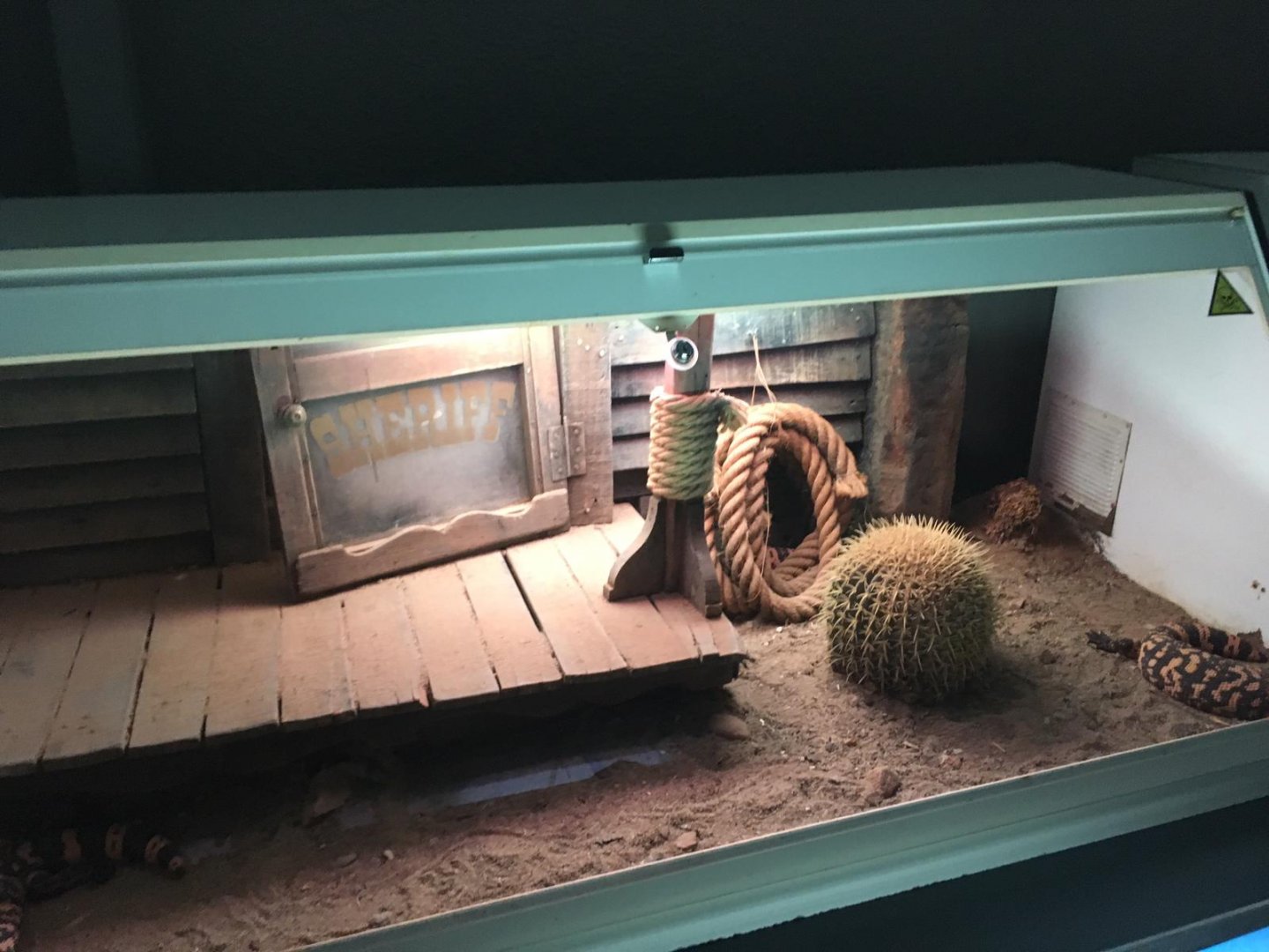 Gila monster terrarium-Cabarceno (2019)