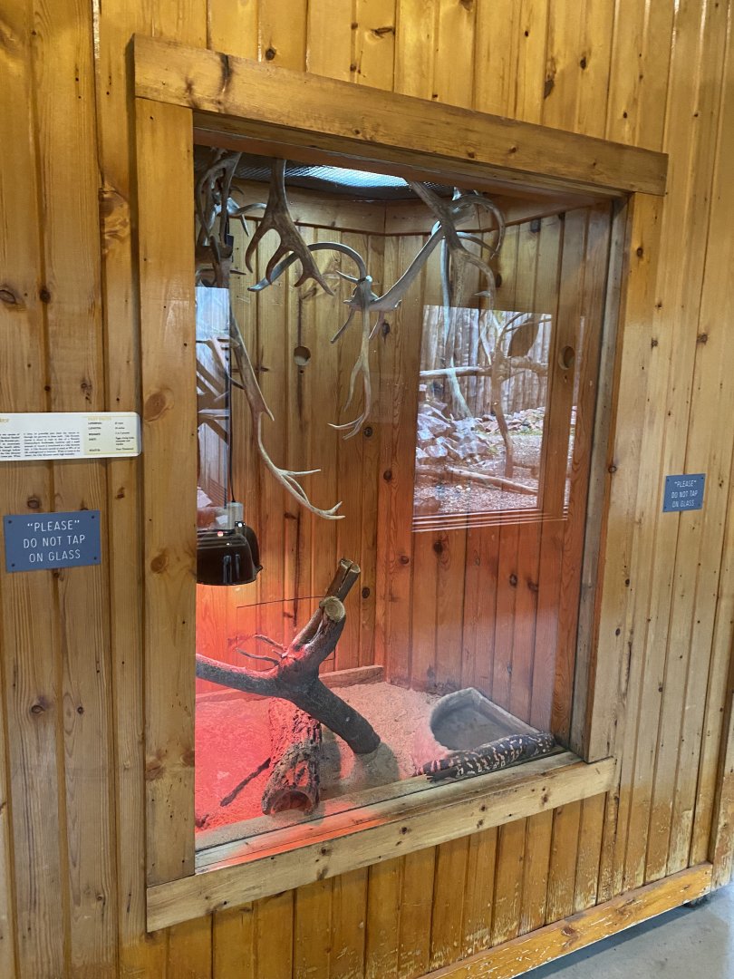 Gila Monster Terrarium