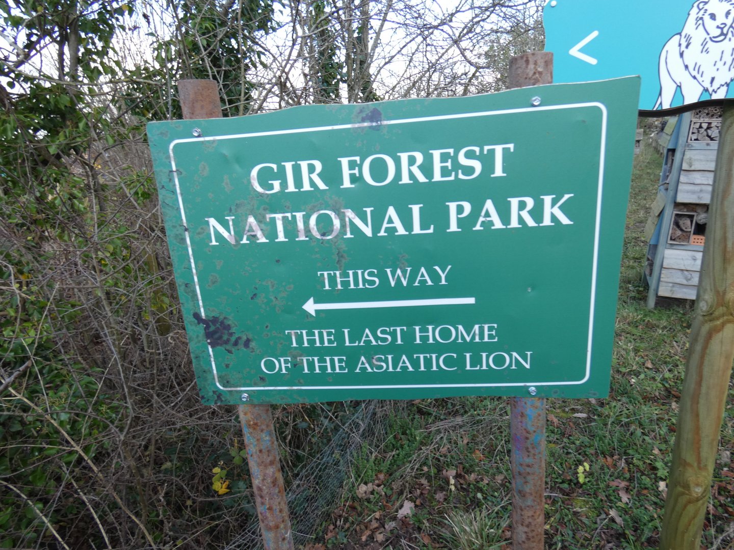 Gir Forest signage in Lion area