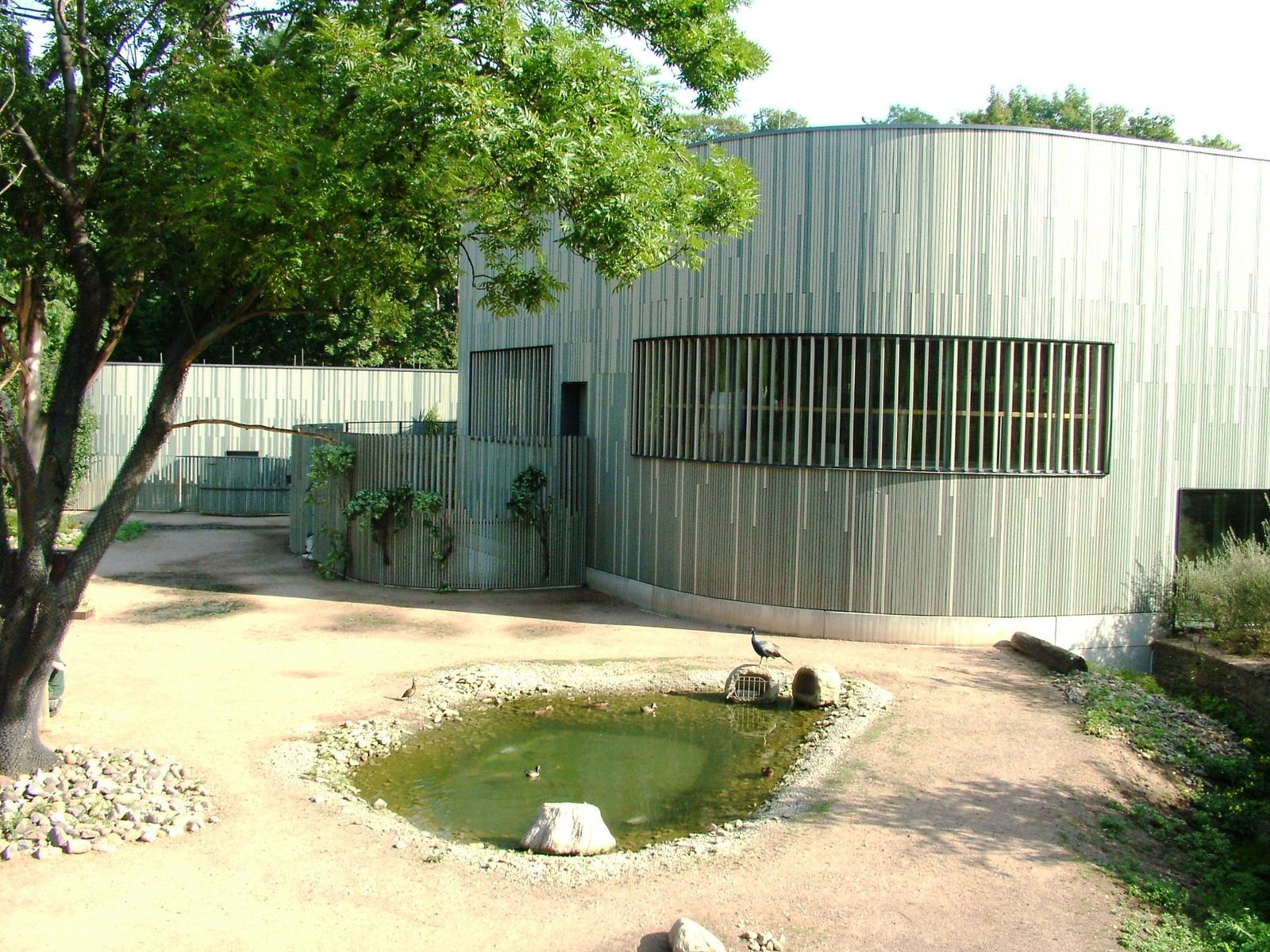 Giraffa House and Paddock at Dresden, 29/08/12