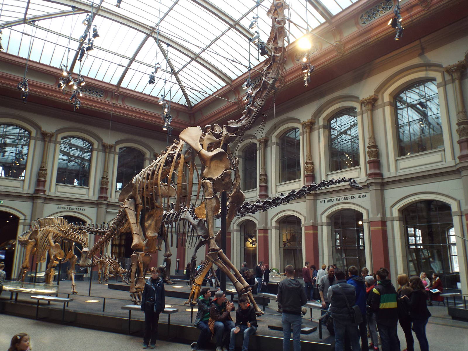 Giraffatitan brancai at Museum f?r Naturkunde, Berlin - April 9th 2014