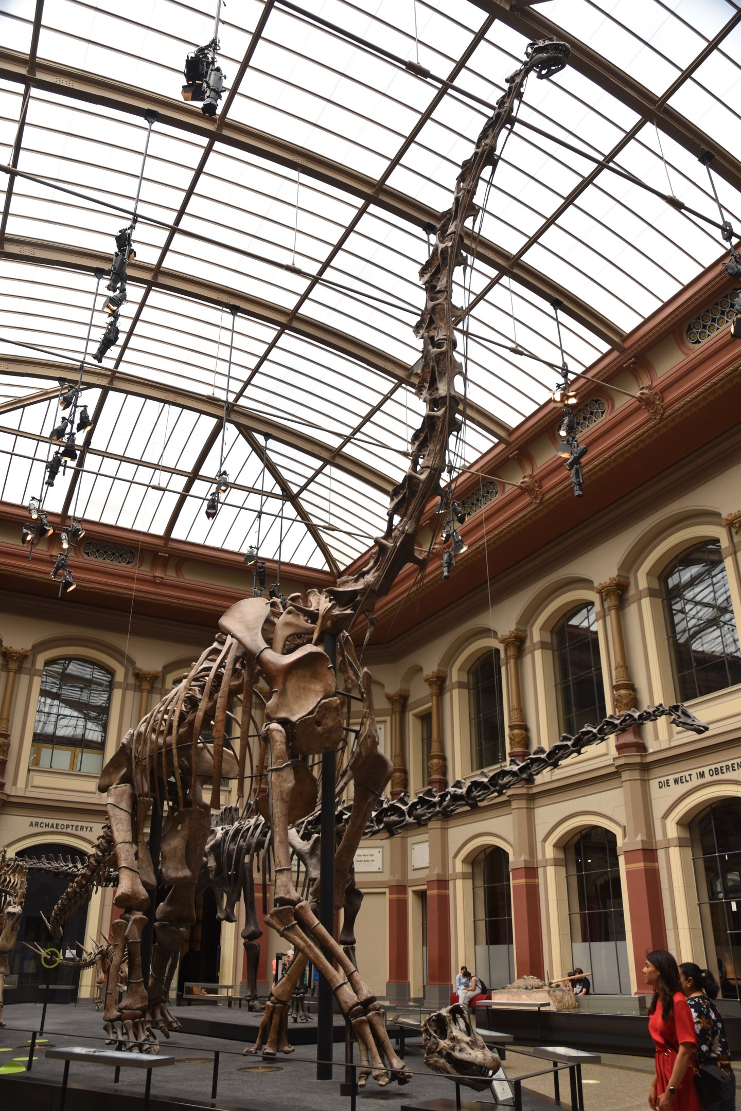Giraffatitan Specimen, Museum für Naturkunde, Berlin, 7th June 2023