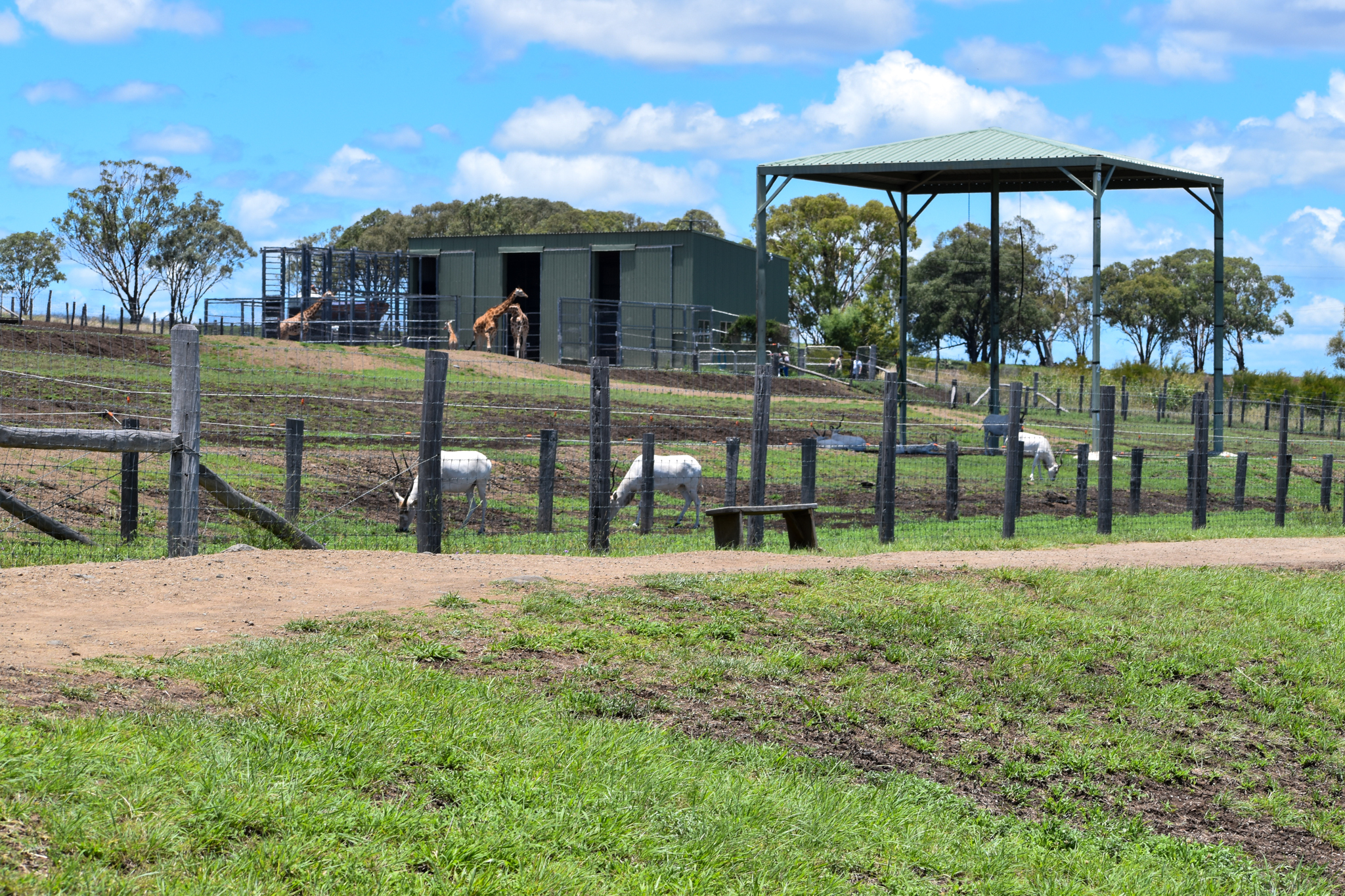 Giraffe/Addax Enclosure