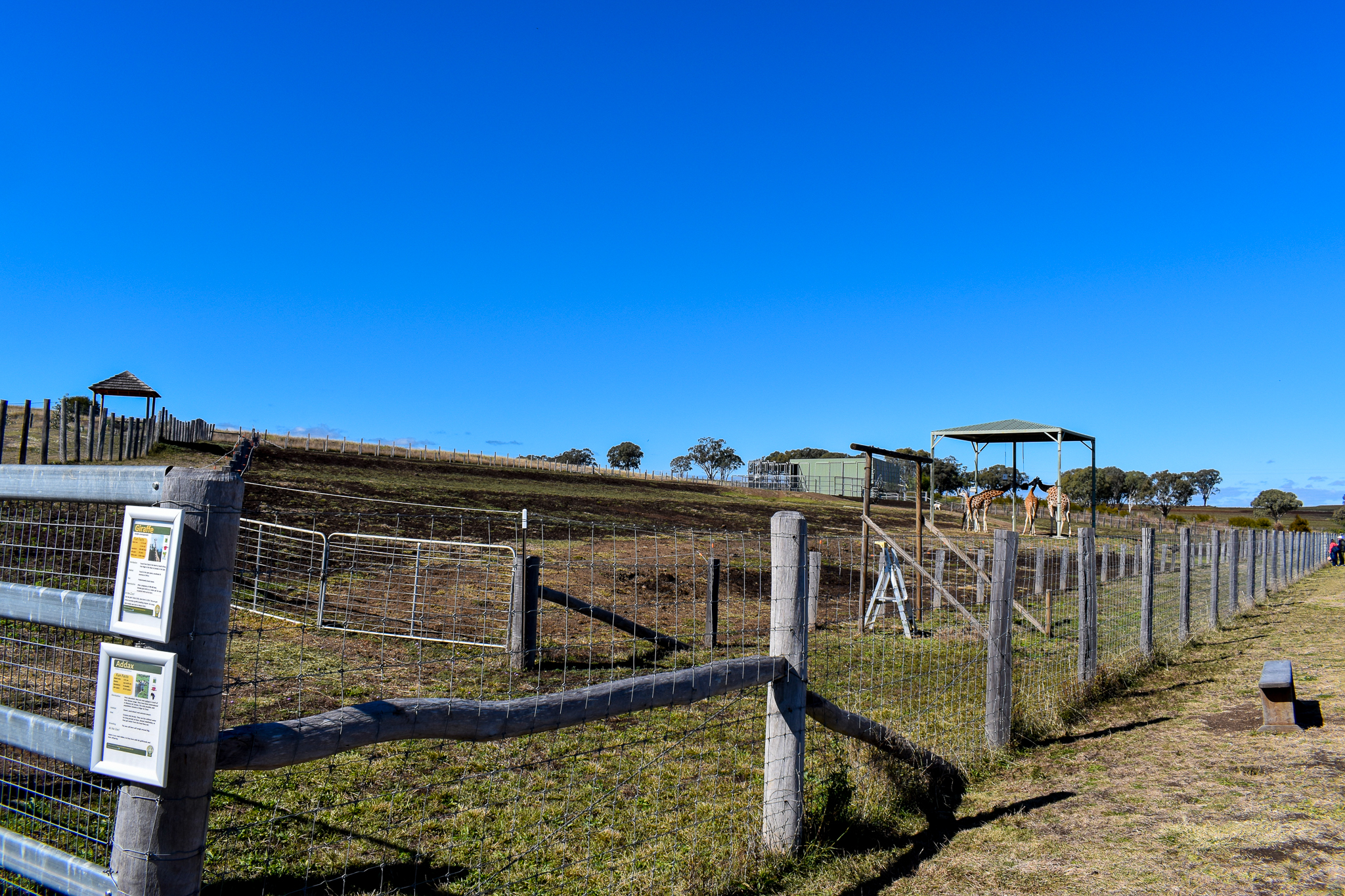 Giraffe/Addax Enclosure