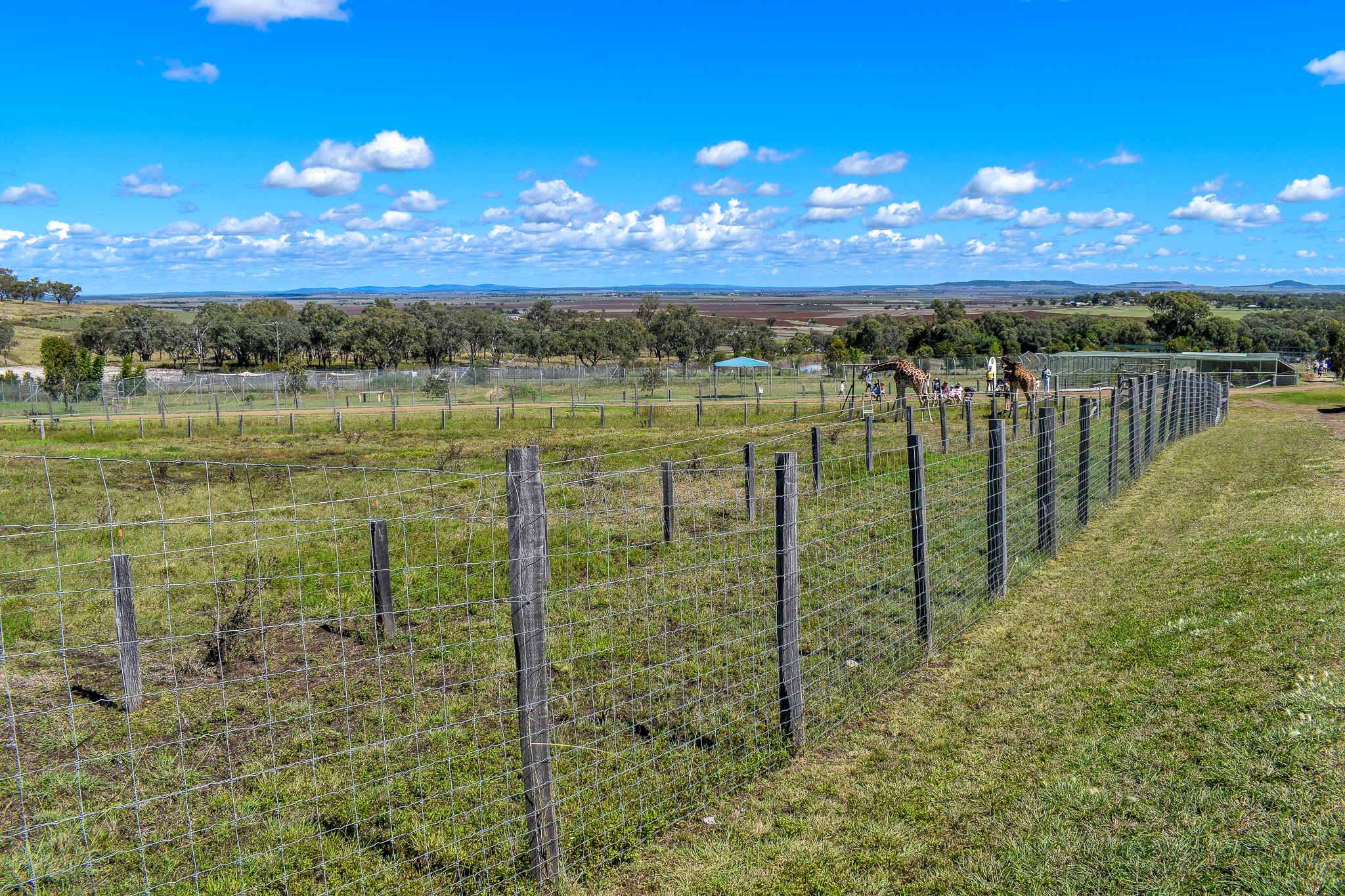 Giraffe/Addax Enclosure