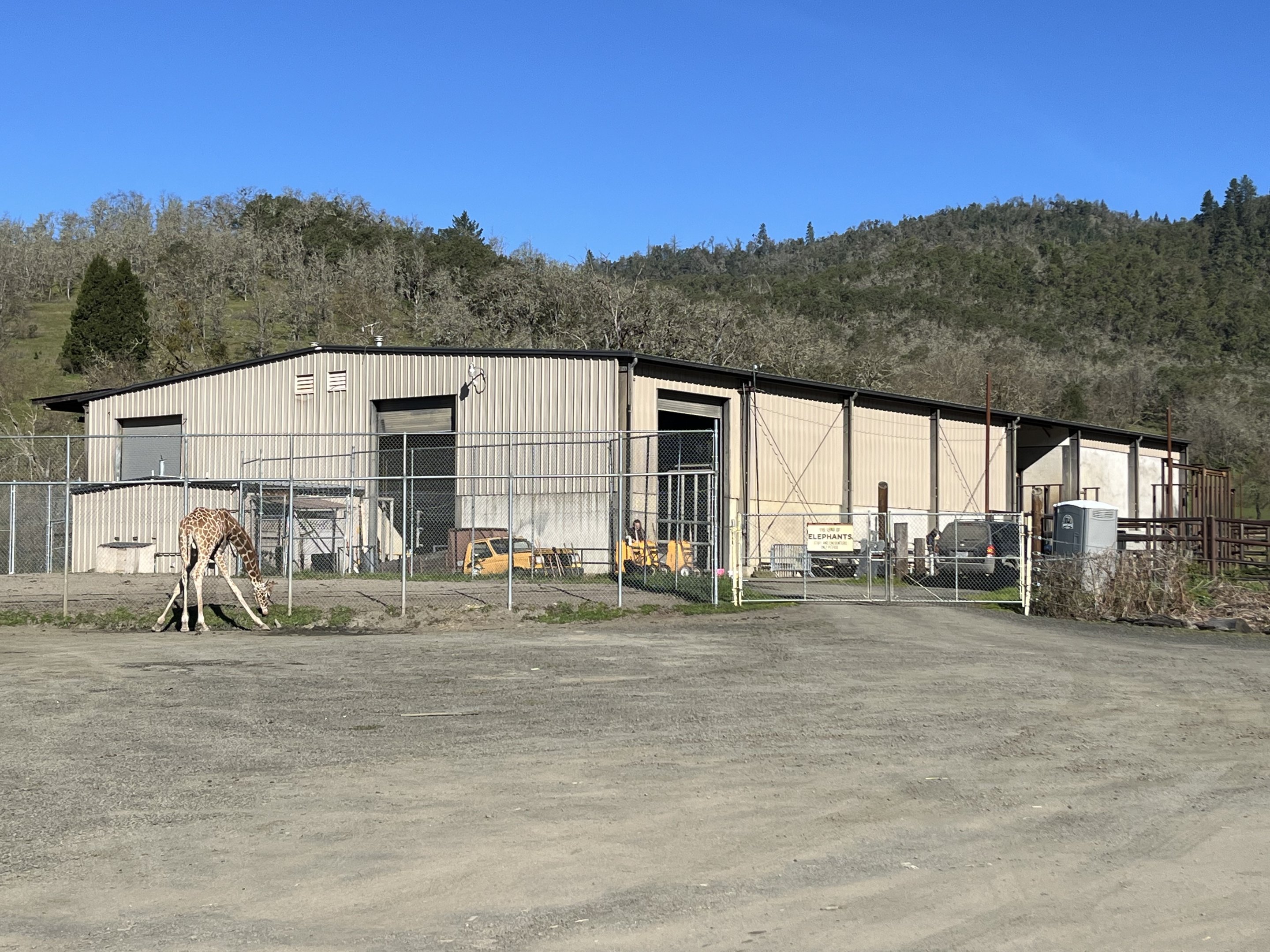 Giraffe + African Elephant Barn