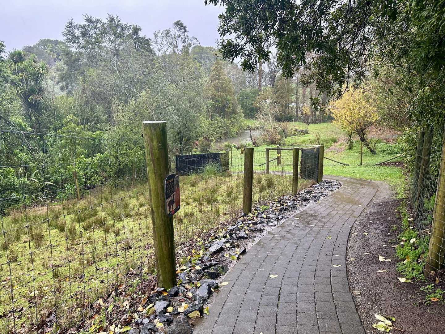 Giraffe/Alpaca Pathway