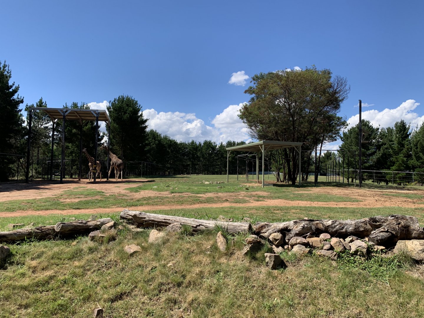 Giraffe and Blackbuck Paddock