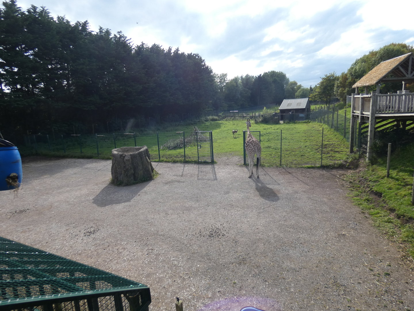 Giraffe and Blesbok enclosure