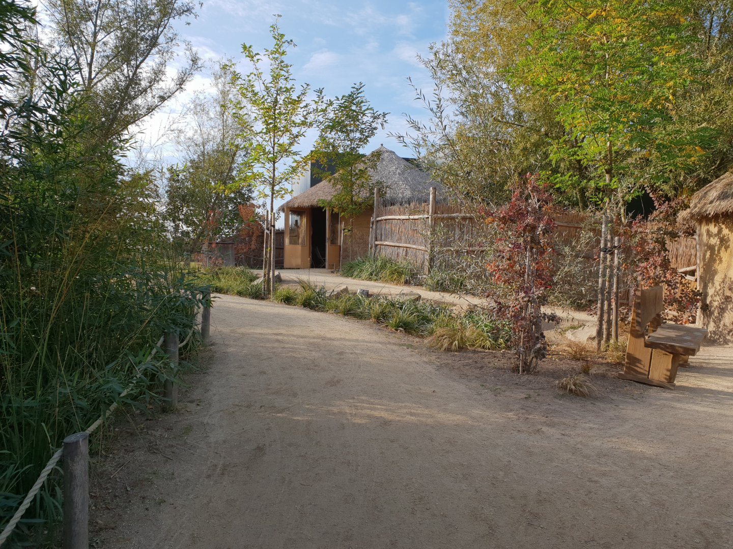 Giraffe and DeBrazza monkey indoor enclosure