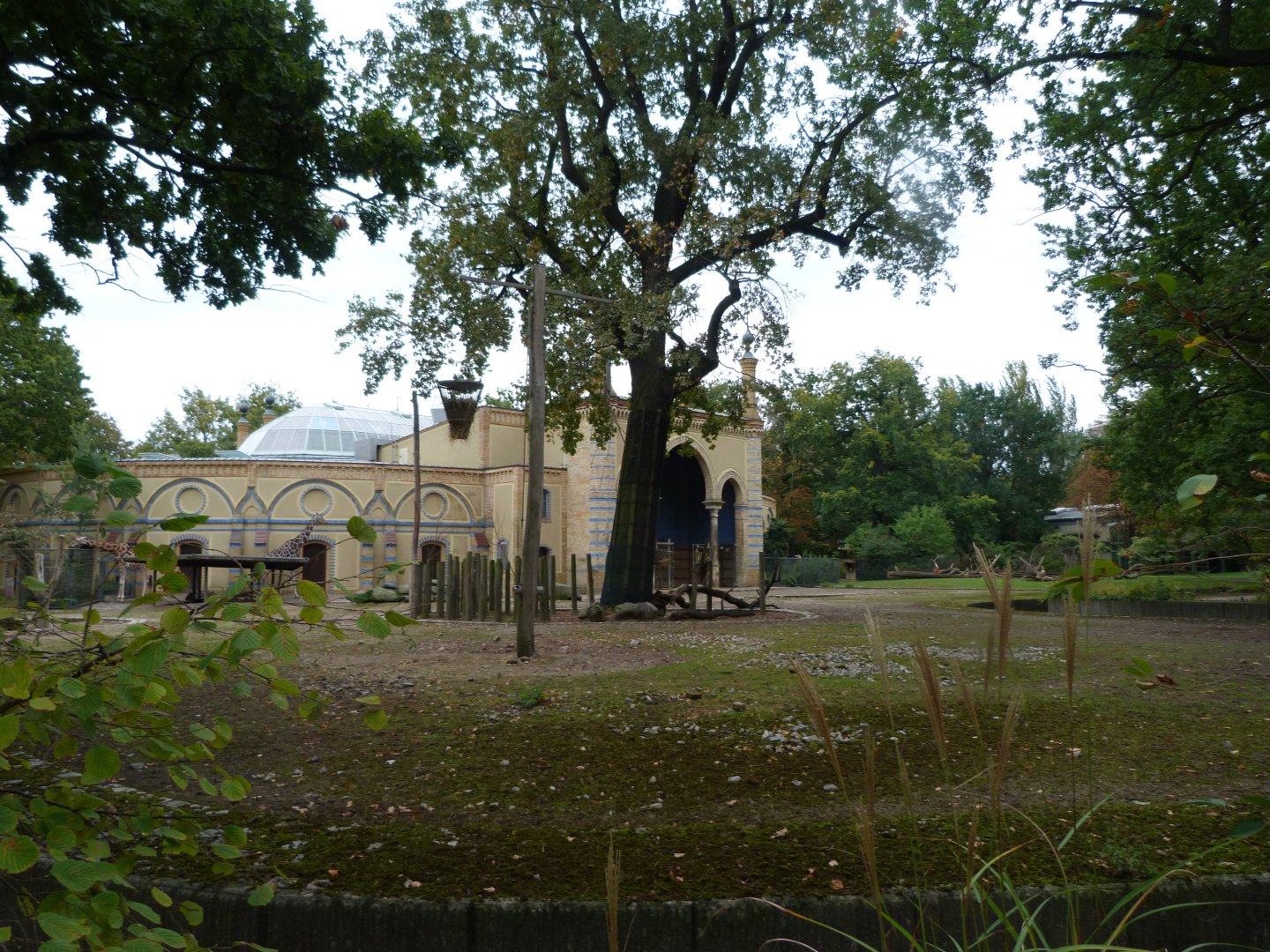 Giraffe and Defassa waterbuck exhibit -Zoologischer Garten Berlin (2024)