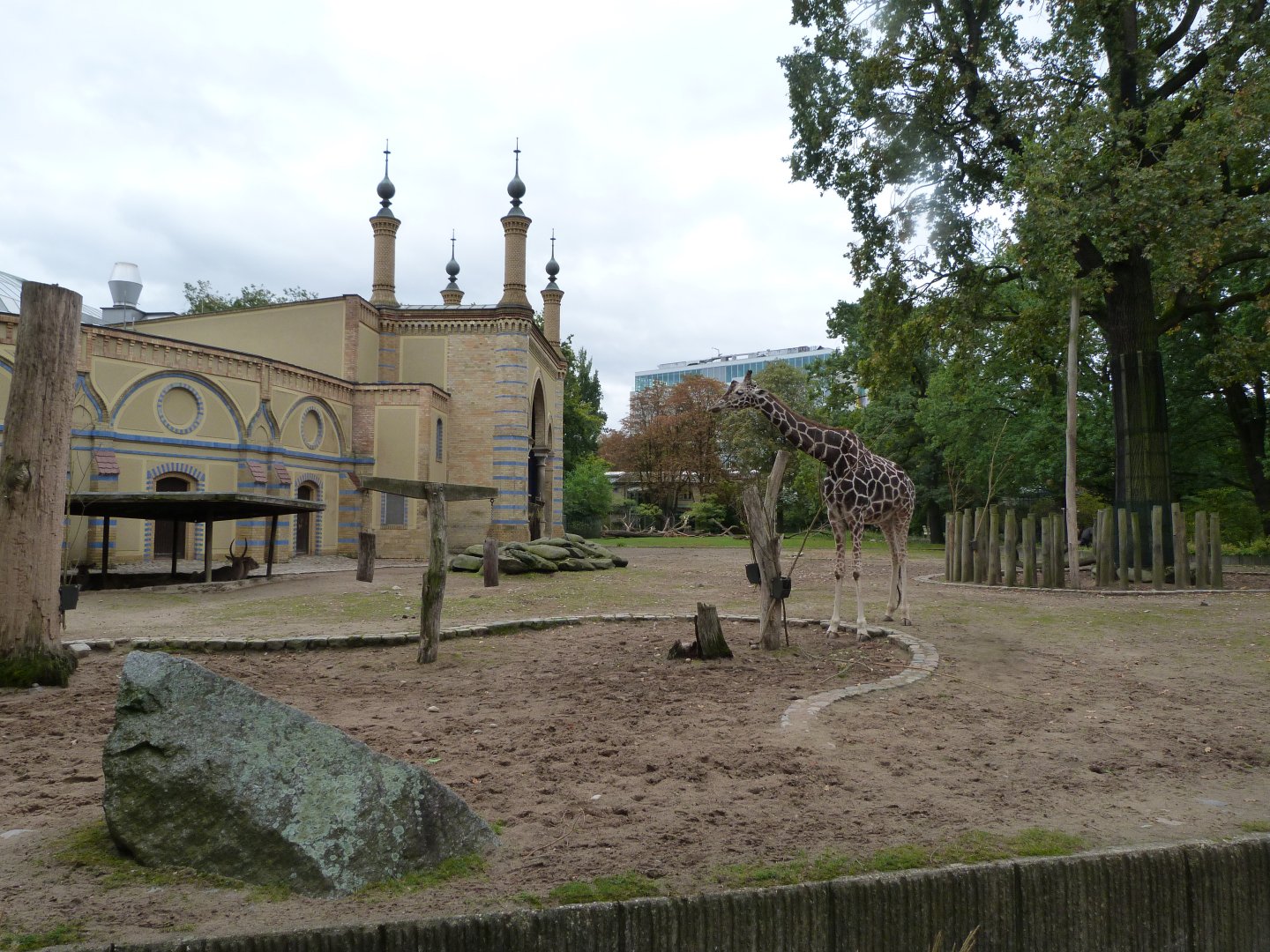 Giraffe and Defassa waterbuck exhibit -Zoologischer Garten Berlin (2024)