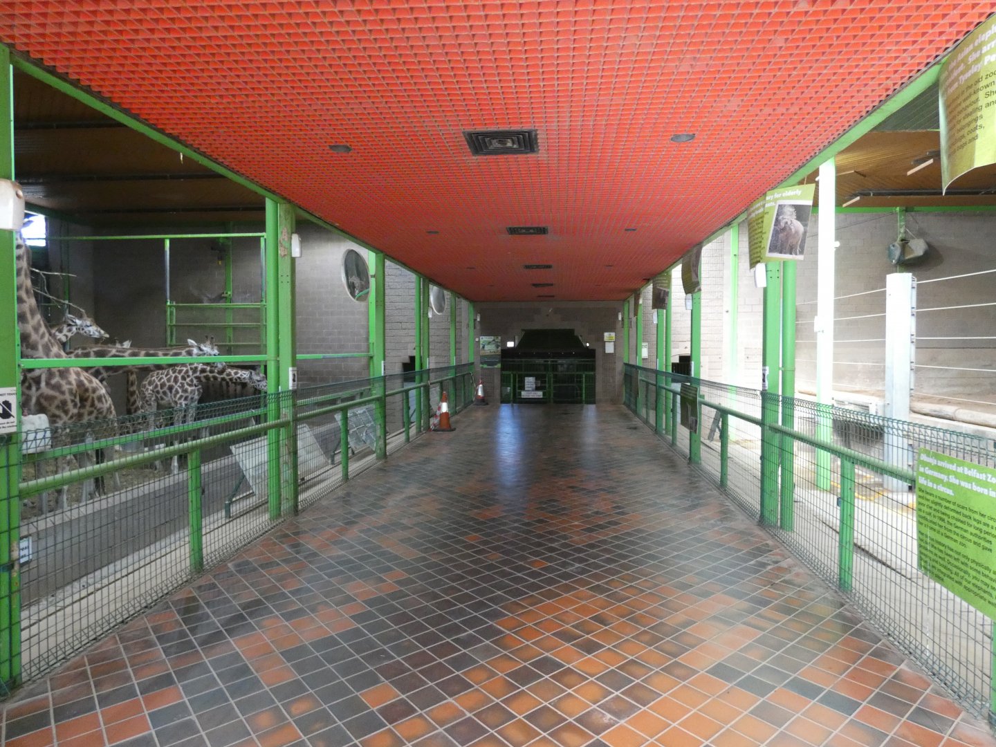 Giraffe and Elephant House viewing area