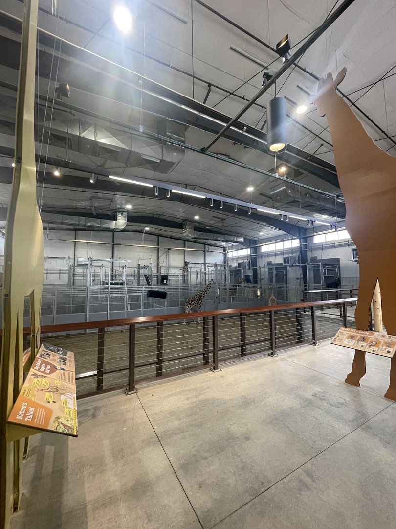 Giraffe and Friends - Barn Interior