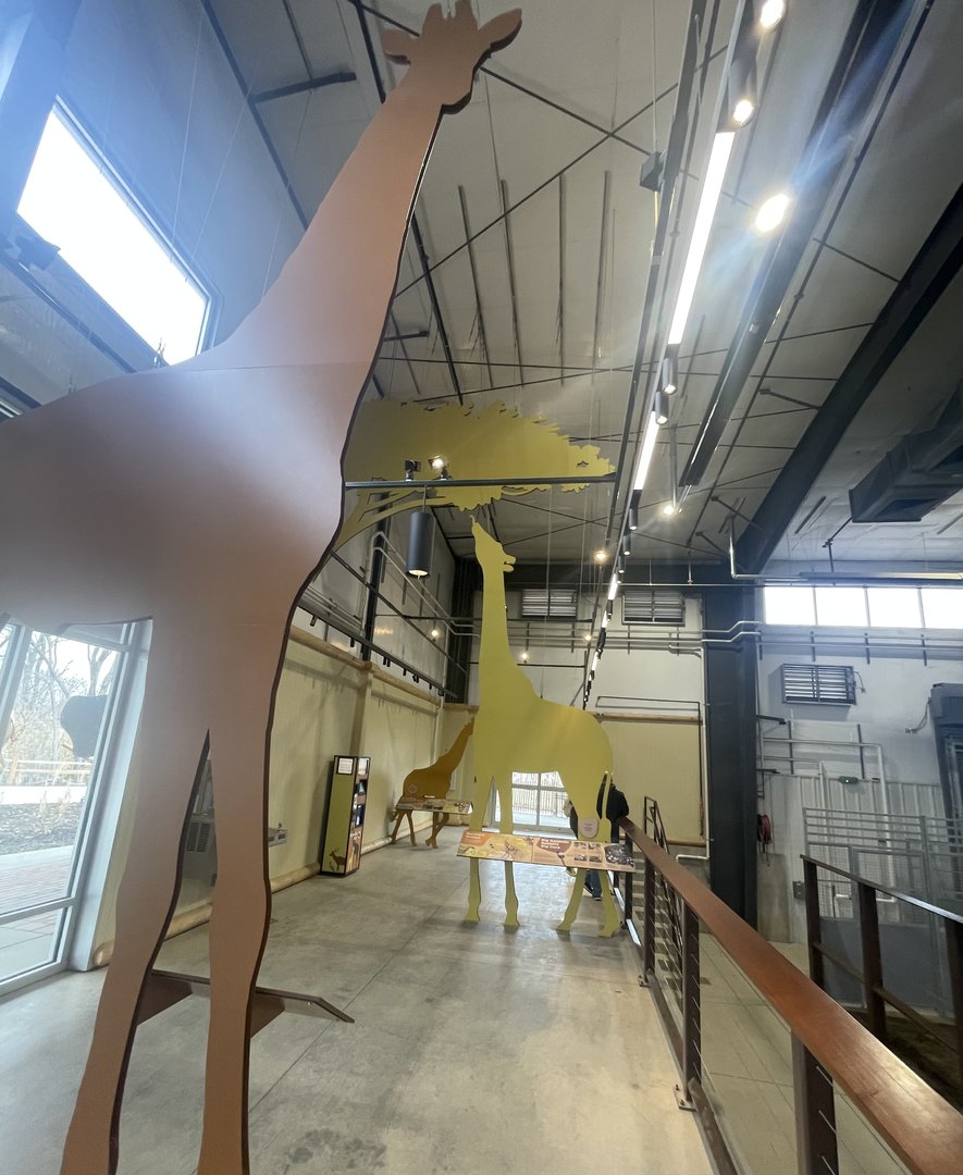 Giraffe and Friends - Barn Interior