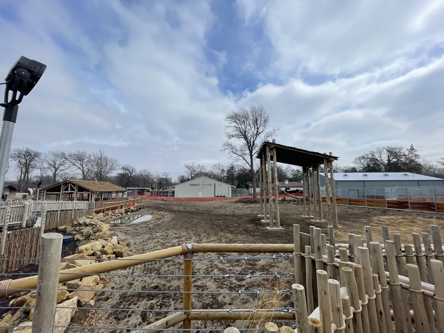 Giraffe and Friends - Outdoor Yard