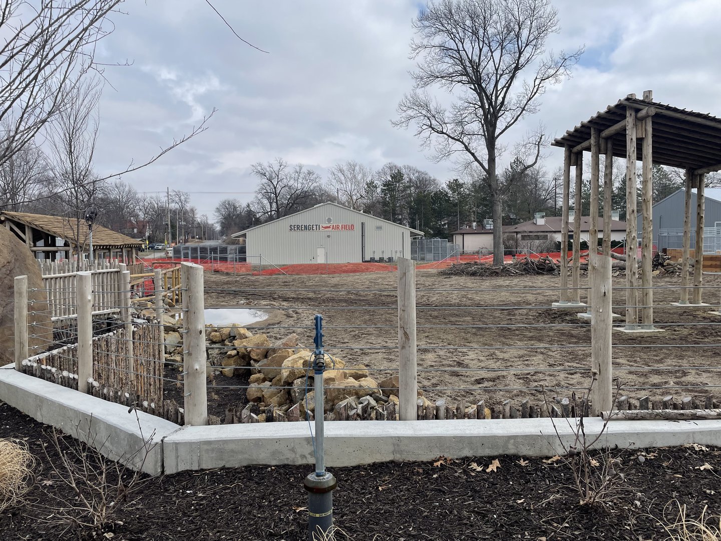 Giraffe and Friends - Outdoor Yard