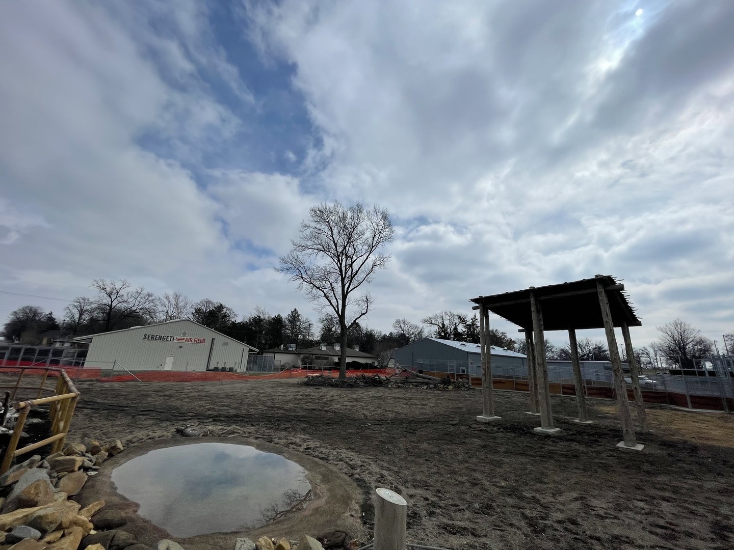 Giraffe and Friends - Outdoor Yard