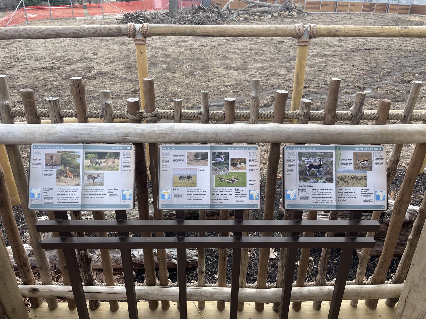 Giraffe and Friends - Signage