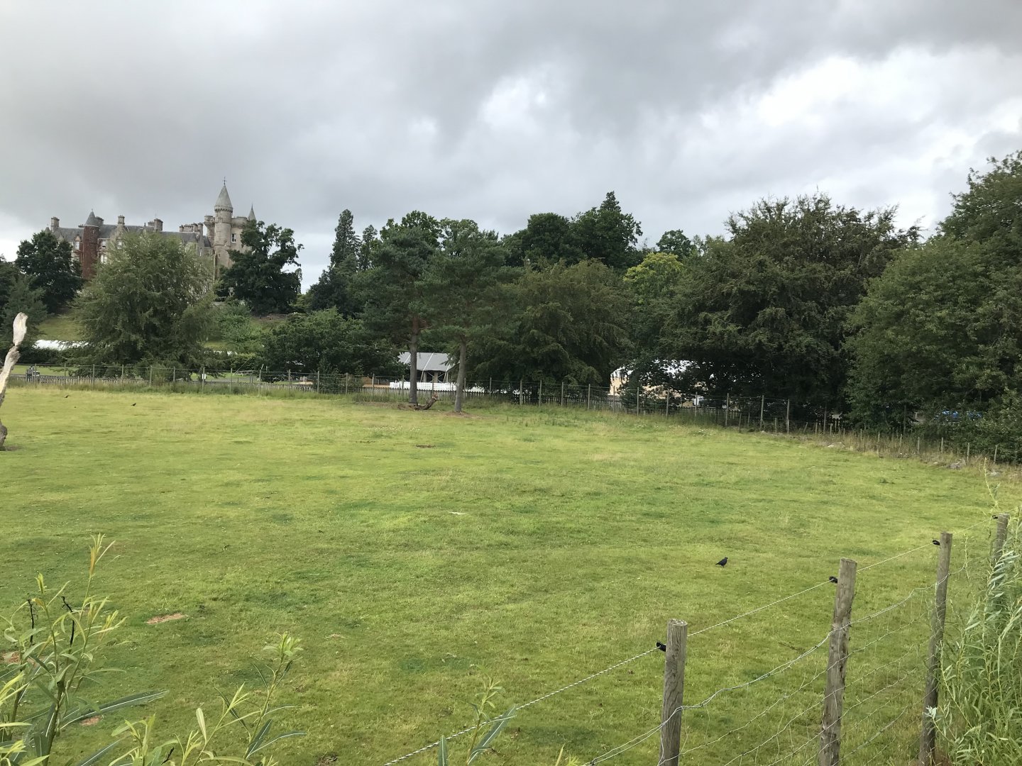 Giraffe and Grant’s zebra enclosure (2)