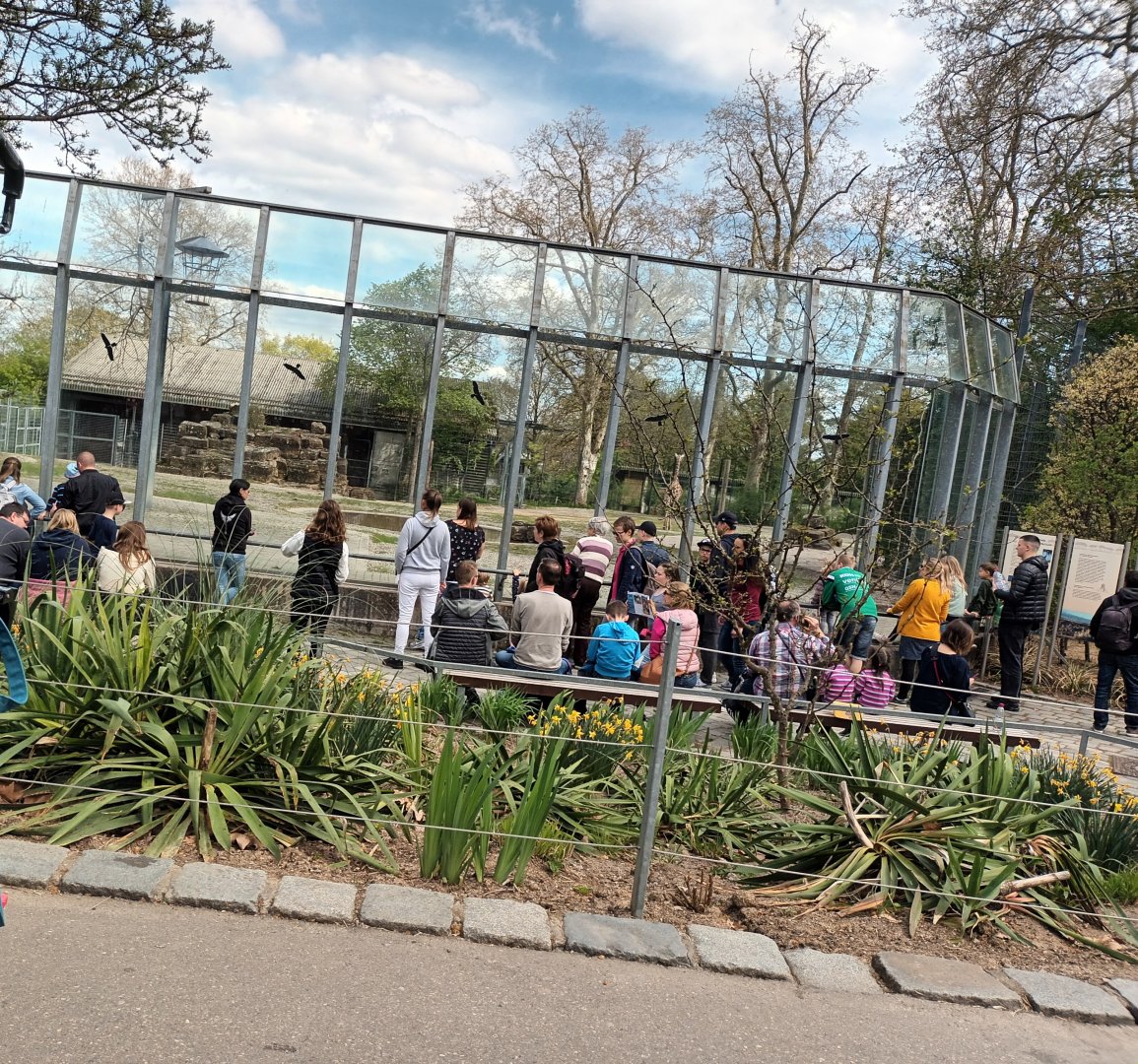 Giraffe and Kudu Viewing Area