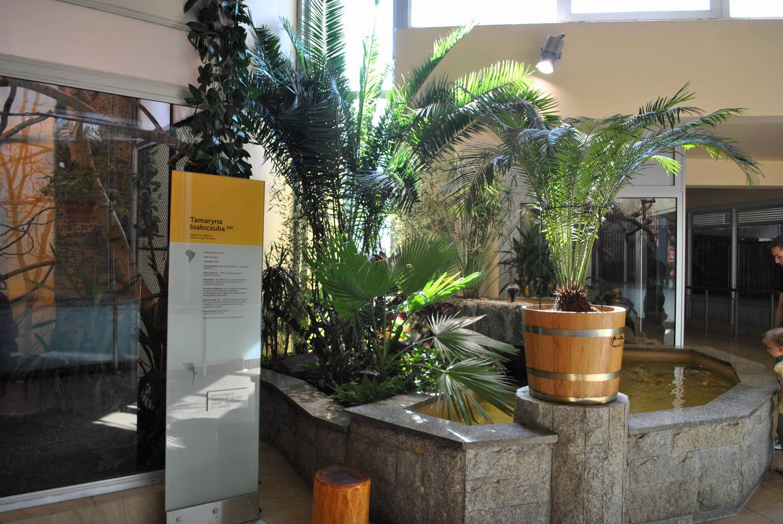 Giraffe and monkey house