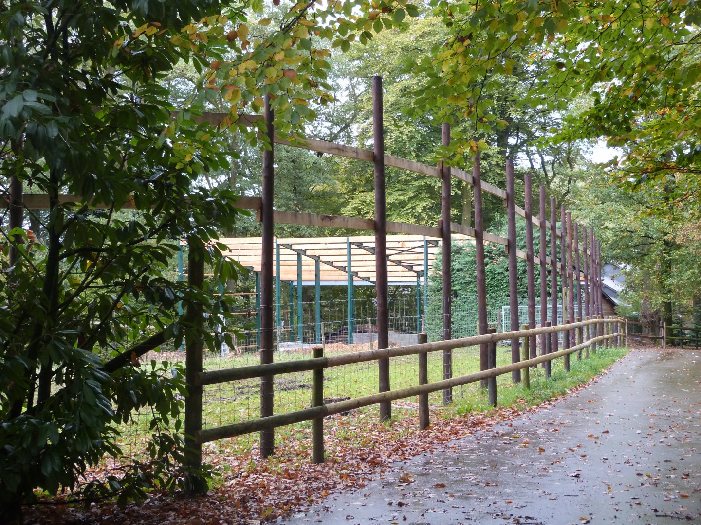 Giraffe and Nyala plain - Parc animalier de Bouillon