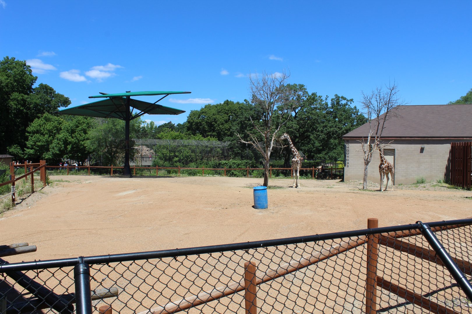 Giraffe and Ostrich Exhibit - African Hoostock Building