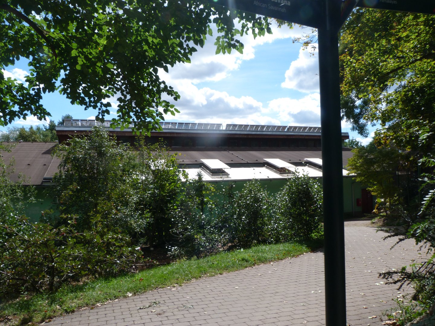 Giraffe and Rhino house view -Zoo Plzeň (2025)