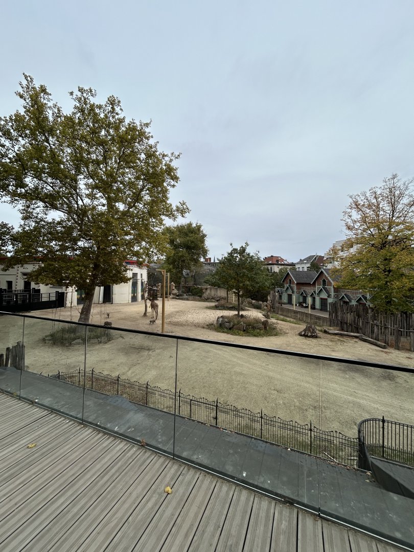 Giraffe and warthog view from skywalk