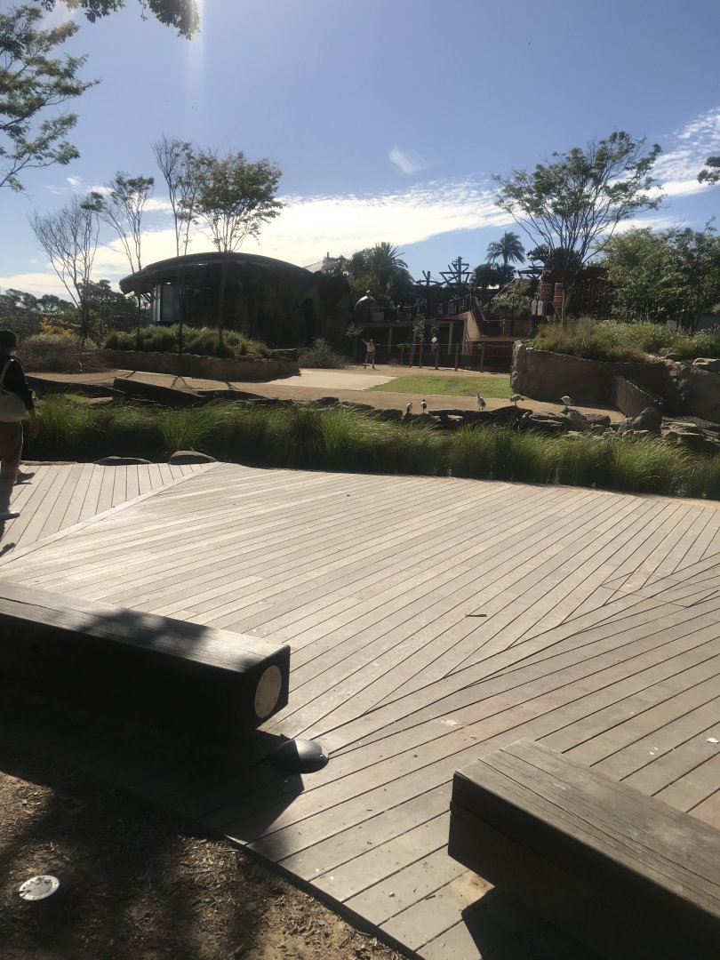 Giraffe and Zebra enclosure view