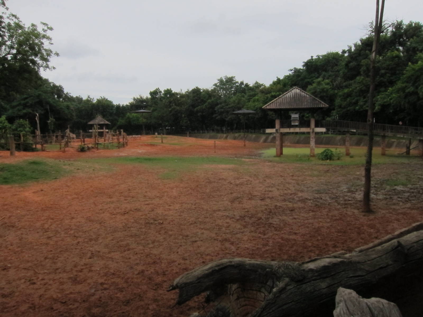 Giraffe and Zebra Enclosure