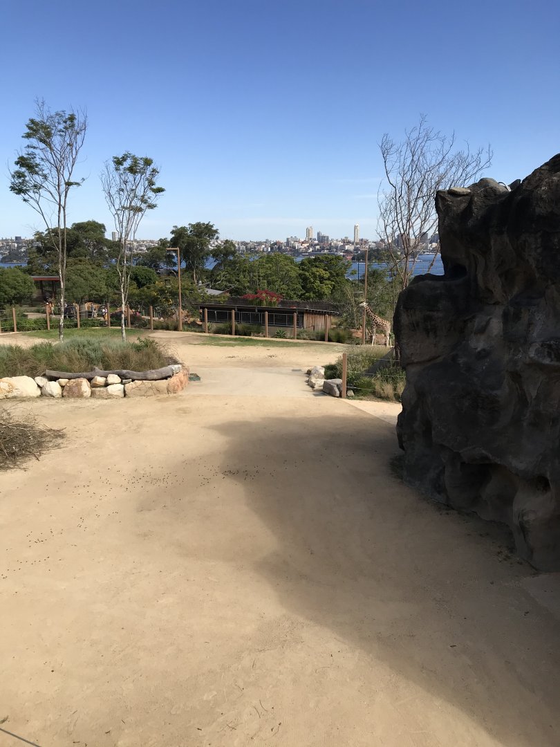 Giraffe and Zebra Enclosure