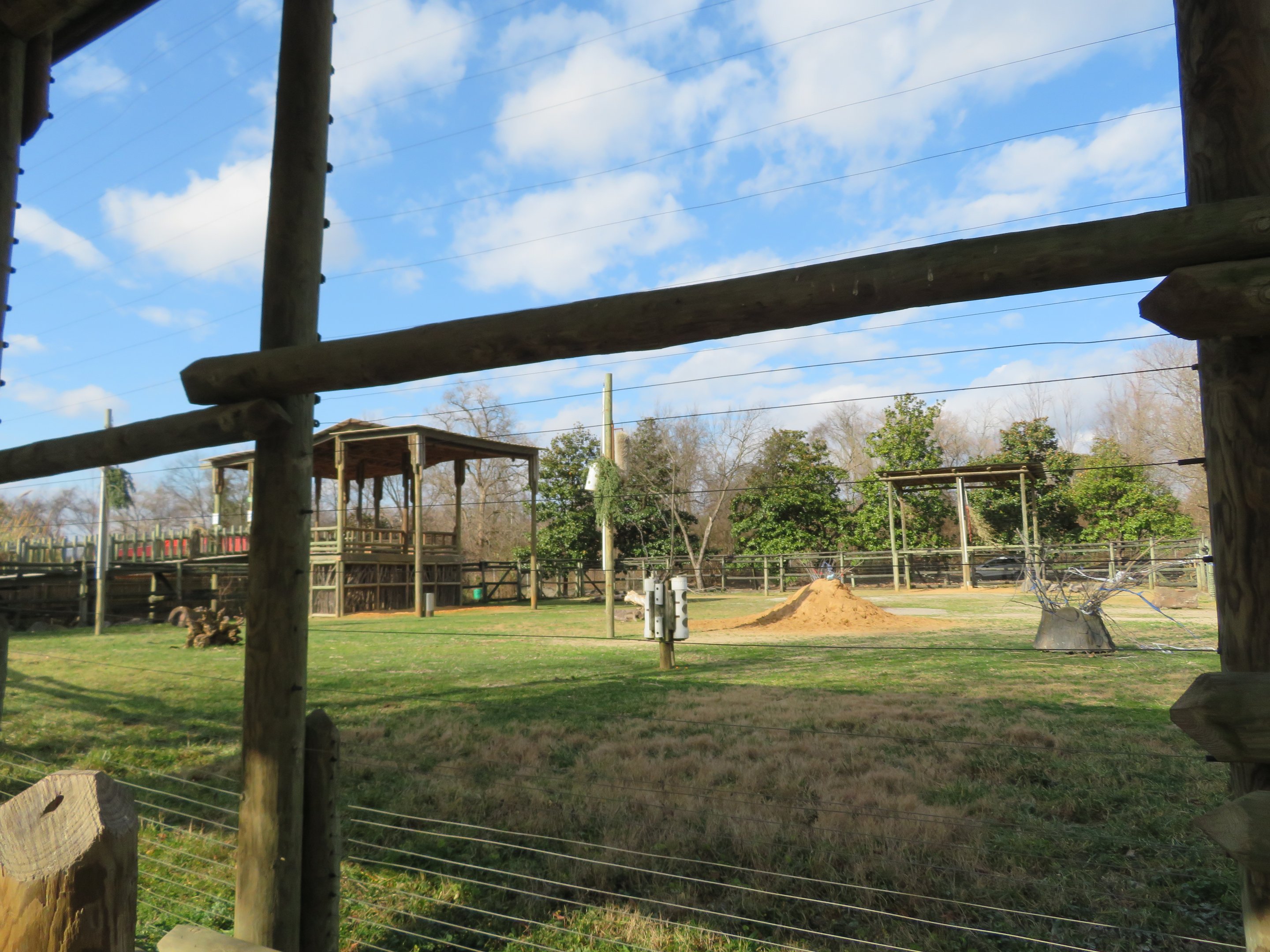 Giraffe and Zebra Exhibit (Part)