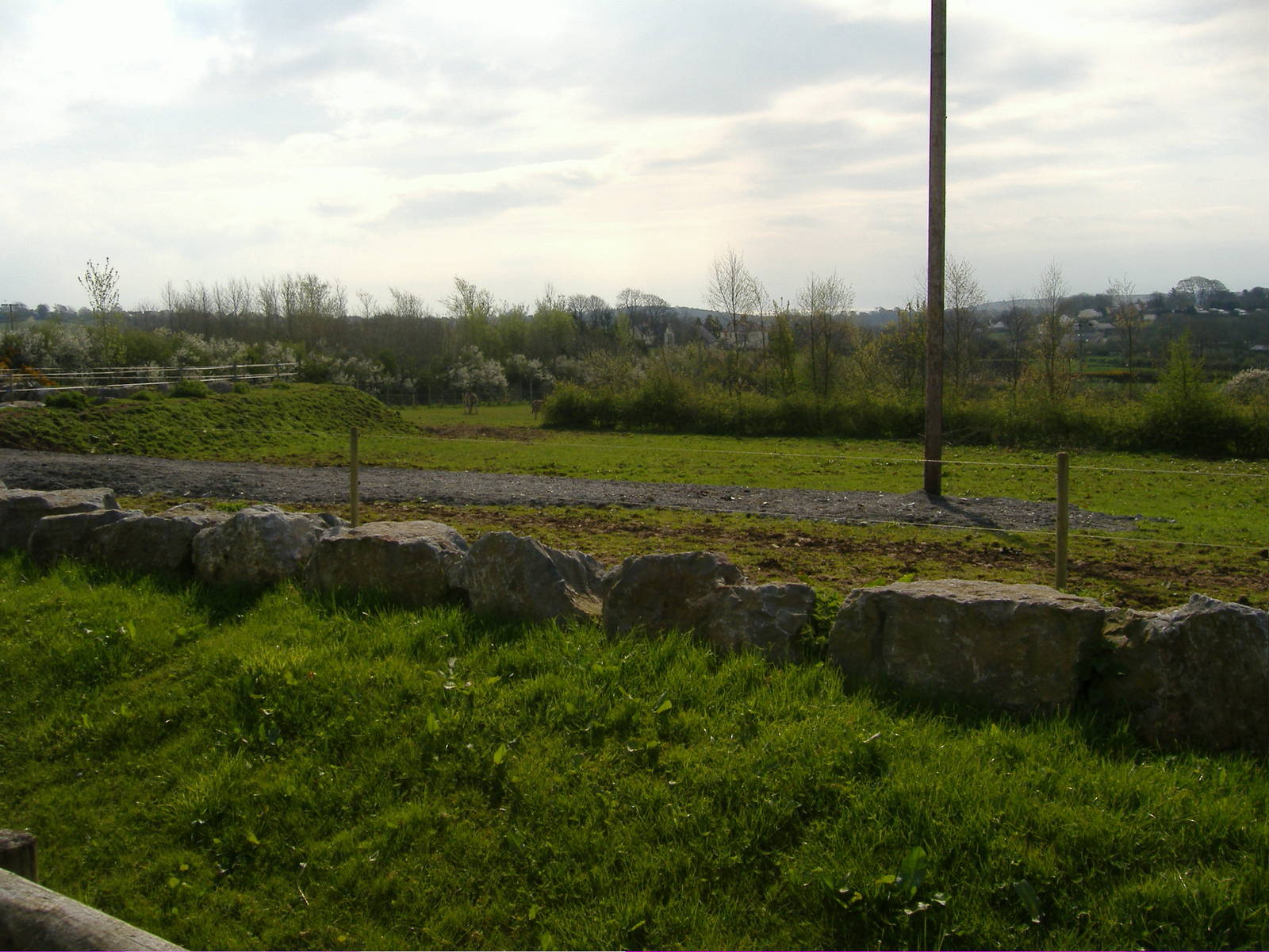 Giraffe and Zebra Paddock Folly Farm
