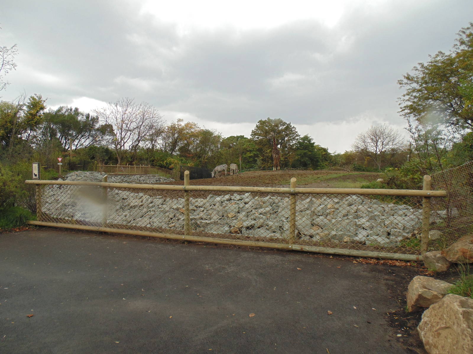 Giraffe and zebra paddock