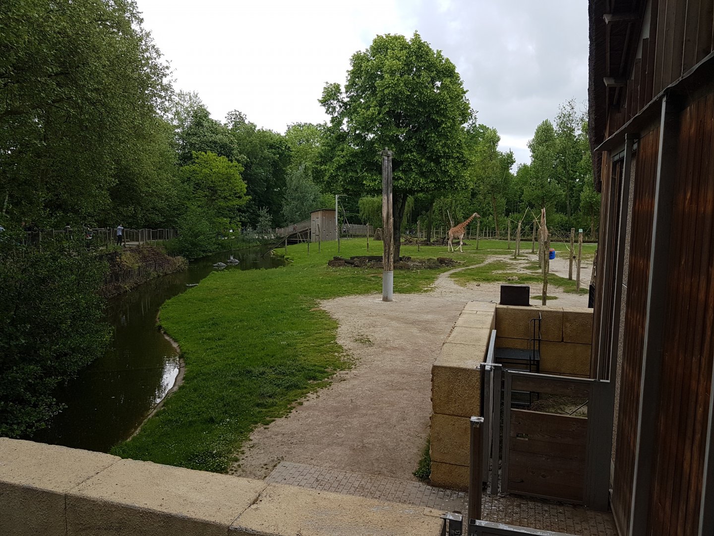 Giraffe - antilope enclosure and stables