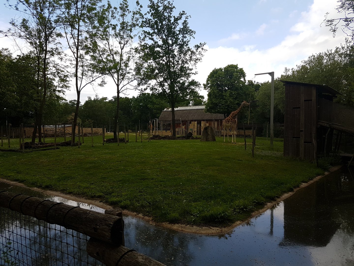 Giraffe -antilope enclosure with viewing-tower