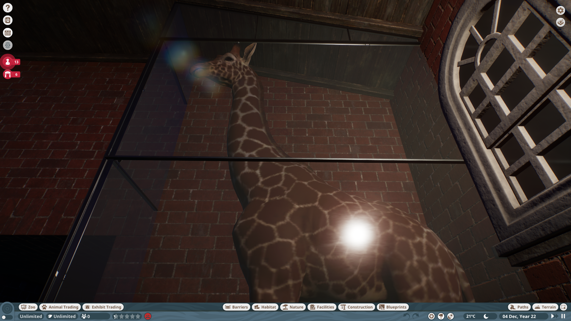 Giraffe Barn Mounted Giraffe