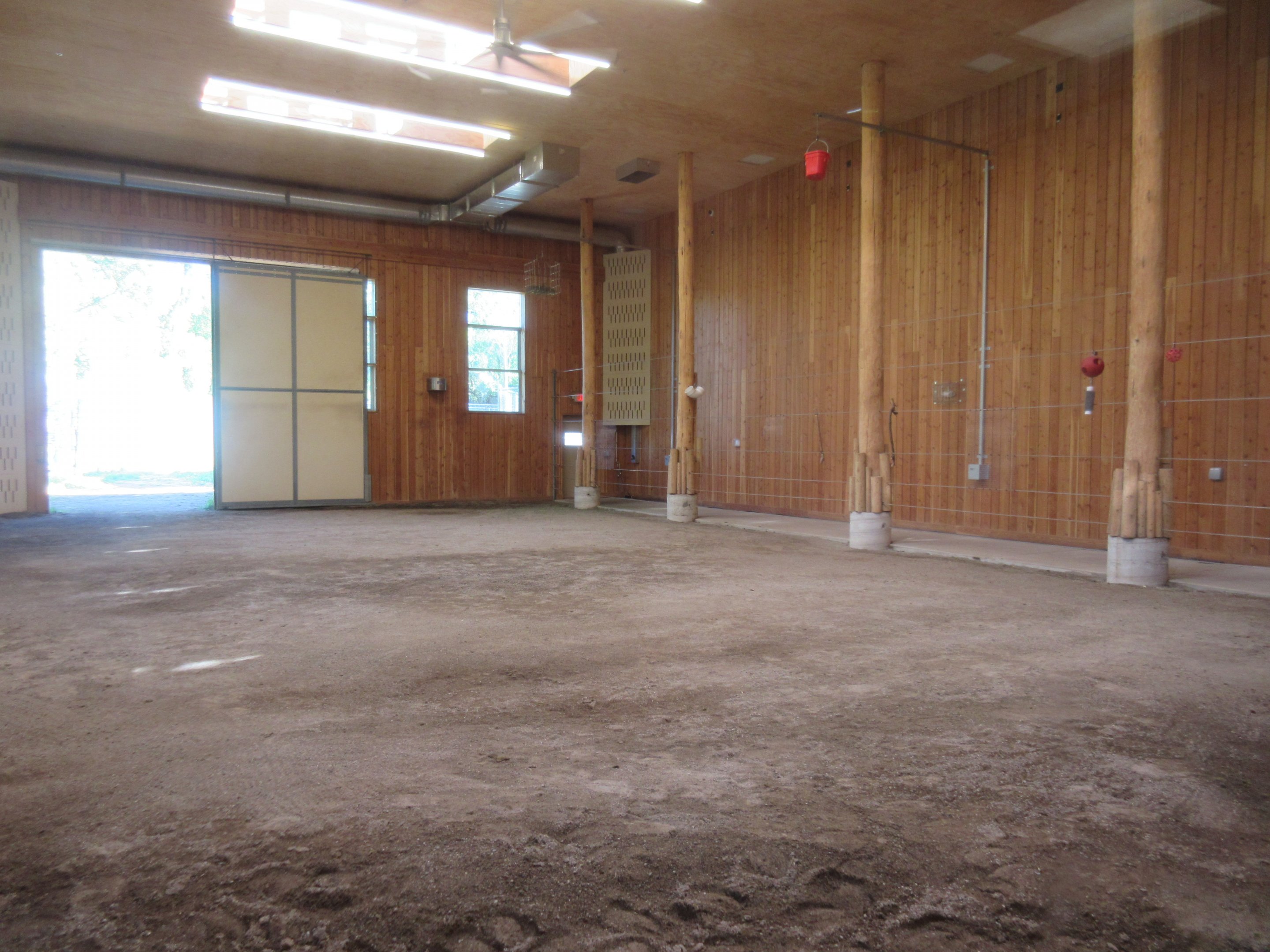 Giraffe Barn Stall - #4 of 4