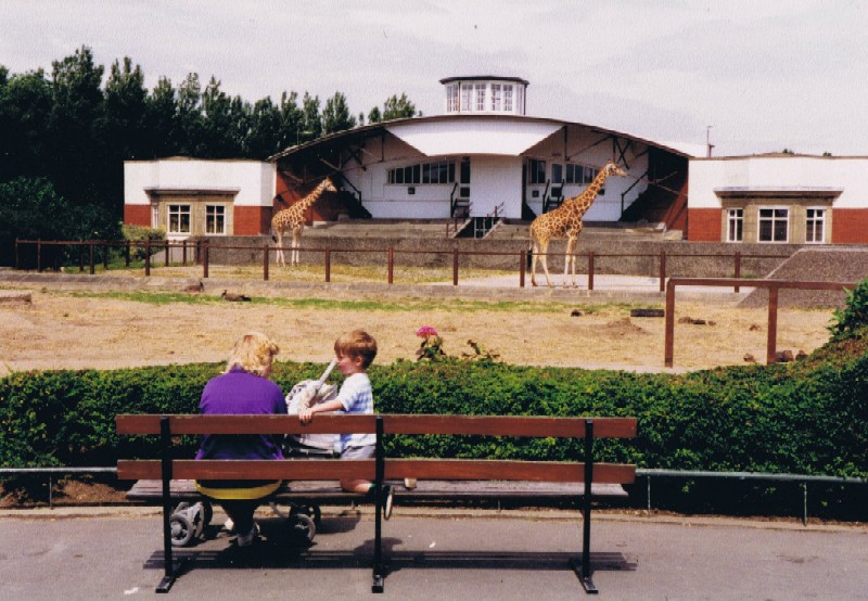 Giraffe. Blackpool 1993.