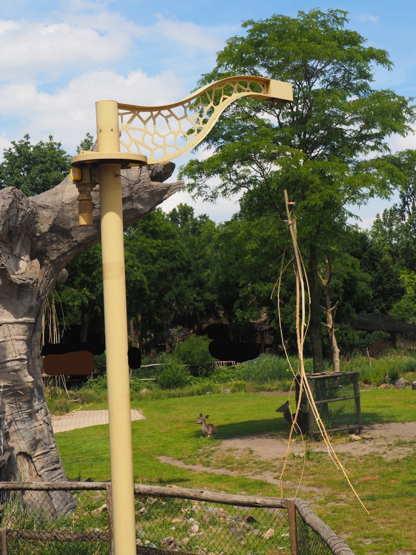 Giraffe browse feeder, 2024-06-30