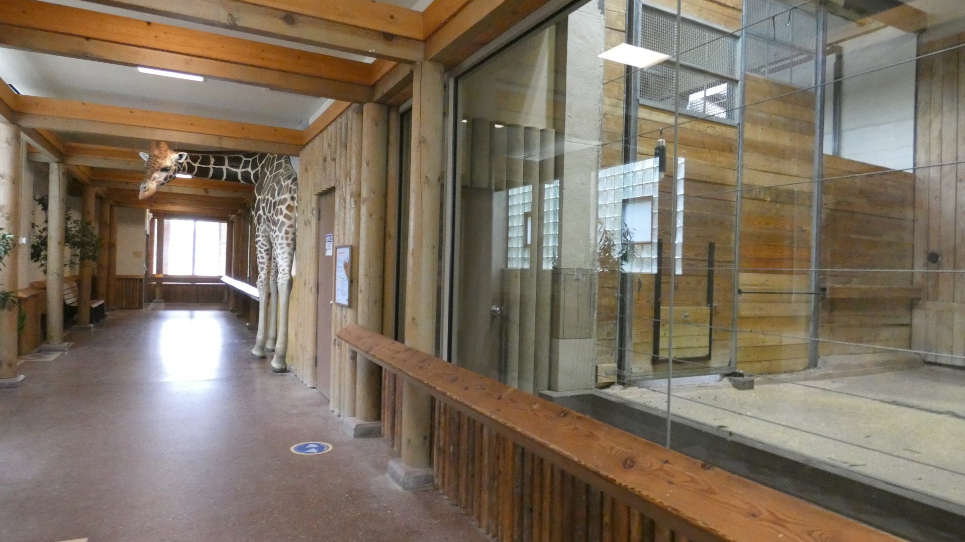 Giraffe Building, African Grasslands - July 2022