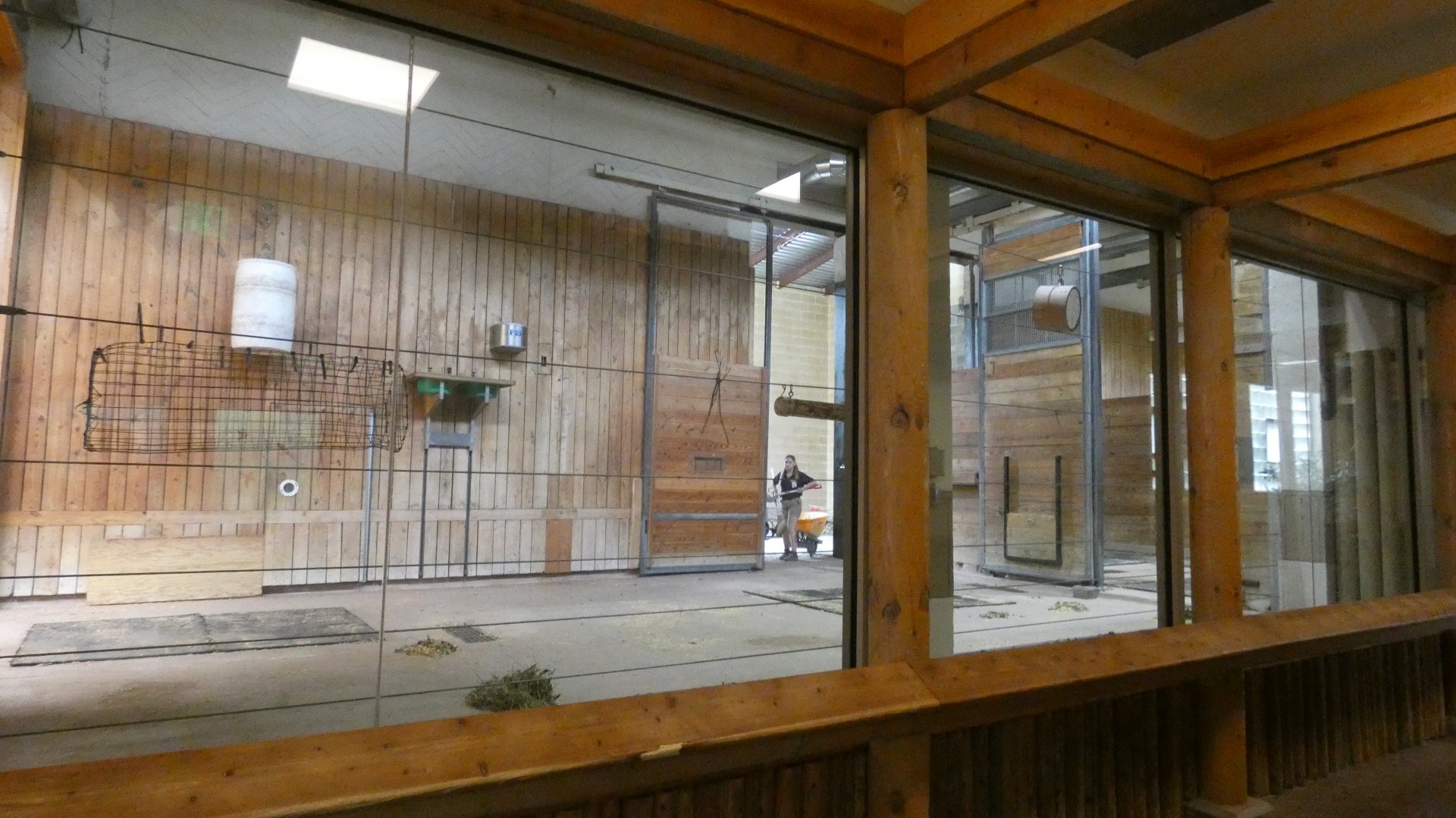 Giraffe Building, African Grasslands - July 2022