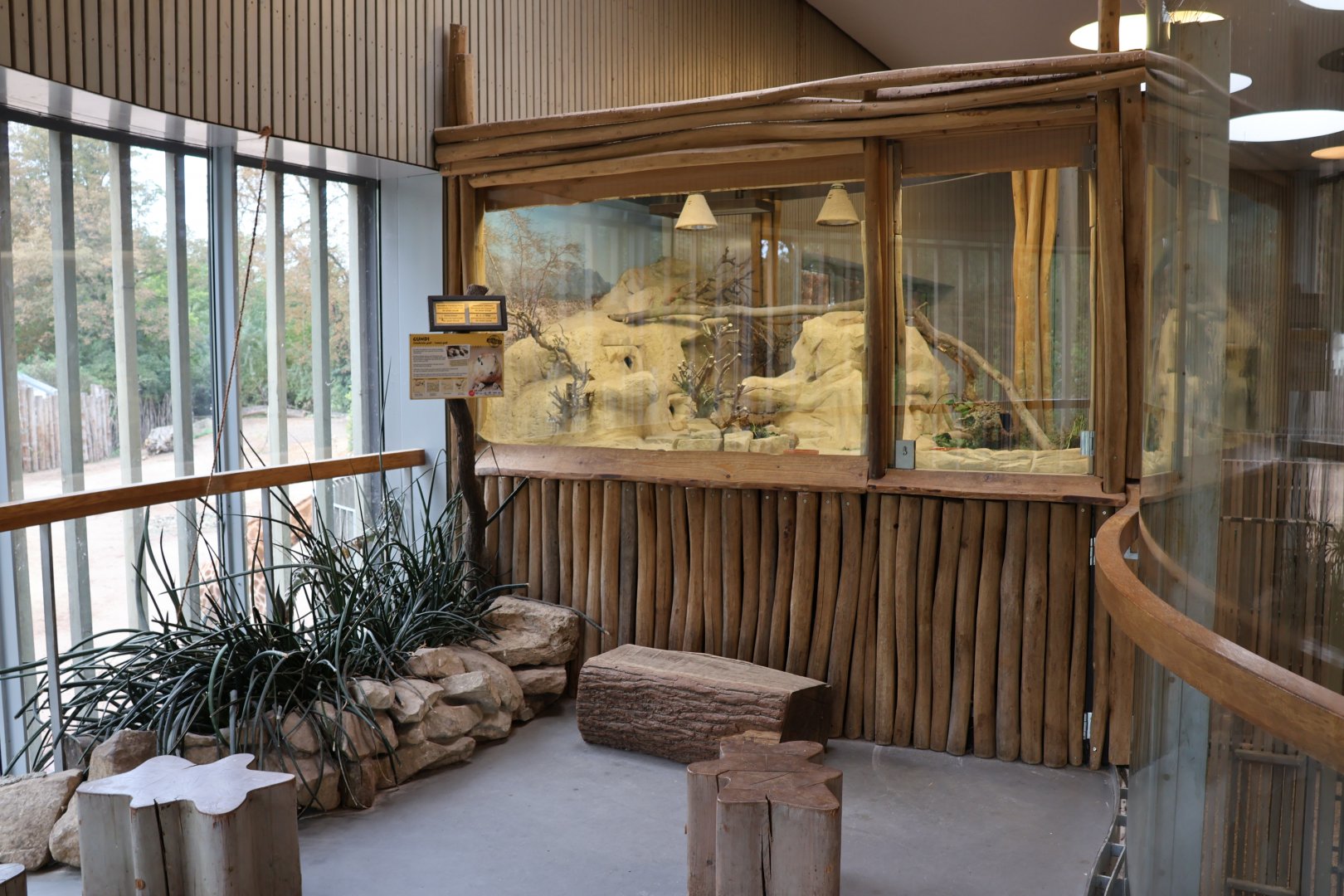 Giraffe building - First floor - Gundi exhibit