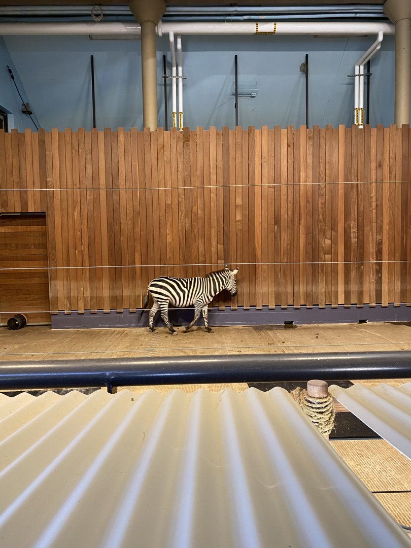 giraffe building- grants zebra & ostrich indoor exhibit.