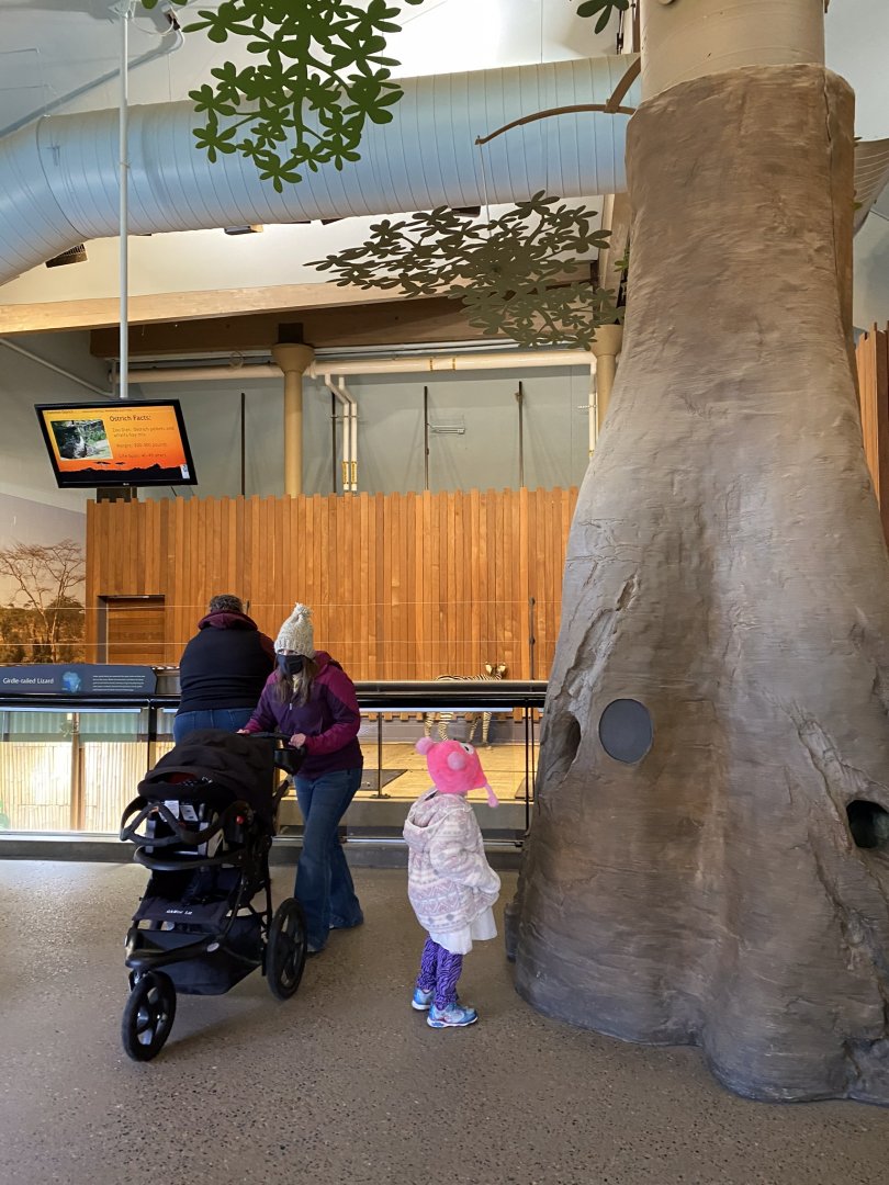 Giraffe building- grants zebra & ostrich indoor exhibit