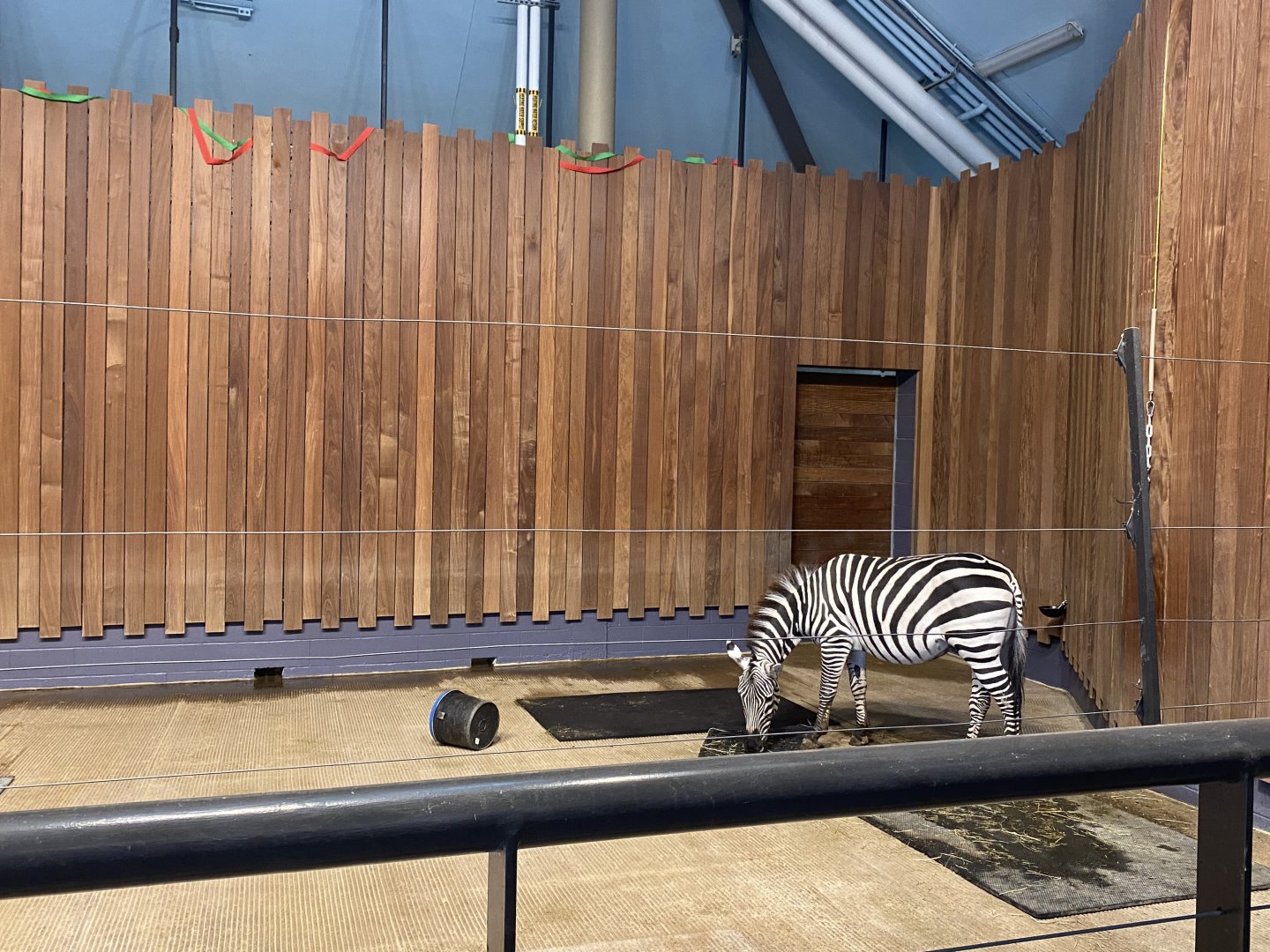 Giraffe Building - Indoor Grant’s Zebra Exhibit